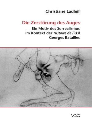 cover image of Die Zerstörung des Auges